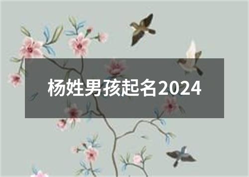 杨姓男孩起名2024