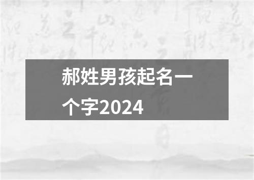 郝姓男孩起名一个字2024