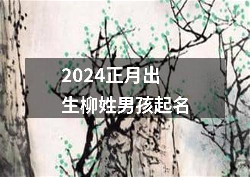 2024正月出生柳姓男孩起名