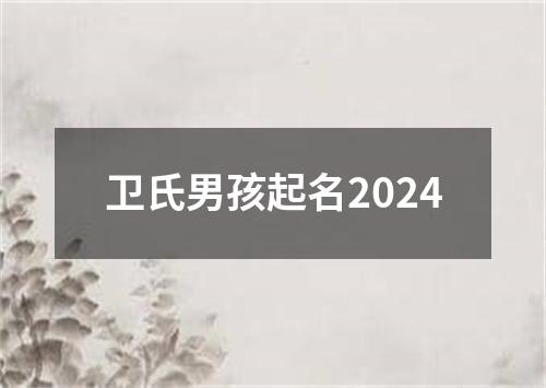 卫氏男孩起名2024