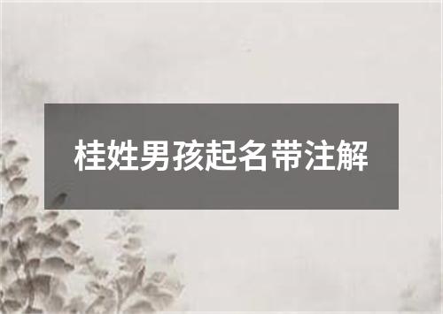 桂姓男孩起名带注解