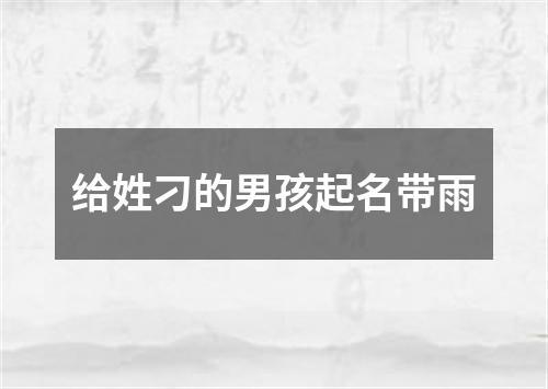 给姓刁的男孩起名带雨