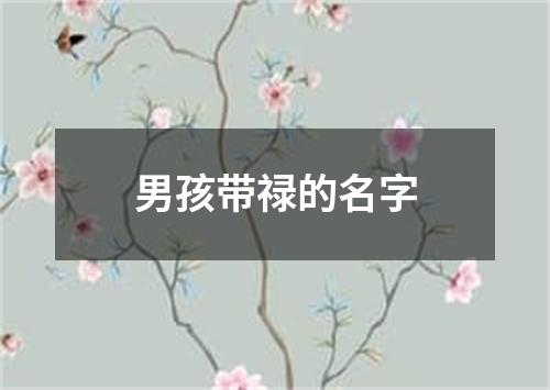 男孩带禄的名字