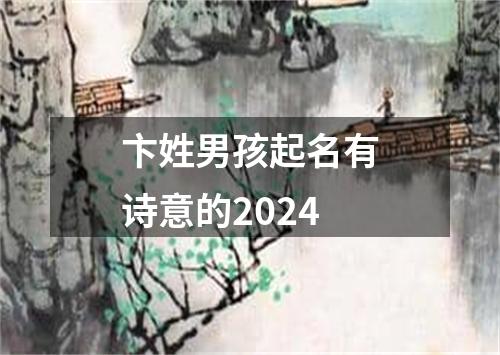 卞姓男孩起名有诗意的2024