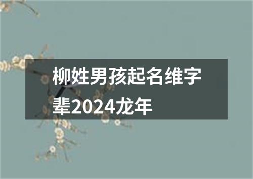 柳姓男孩起名维字辈2024龙年