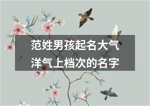 范姓男孩起名大气洋气上档次的名字