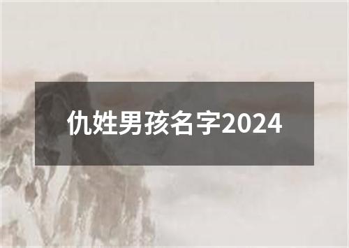 仇姓男孩名字2024