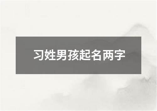 习姓男孩起名两字