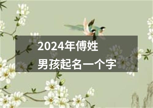 2024年傅姓男孩起名一个字