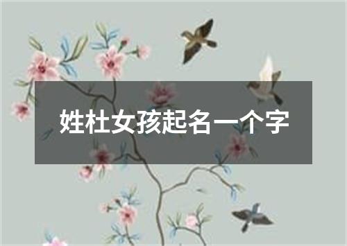 姓杜女孩起名一个字