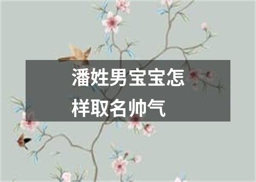 潘姓男宝宝怎样取名帅气