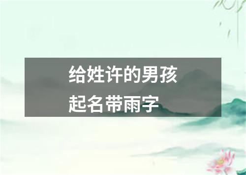 给姓许的男孩起名带雨字