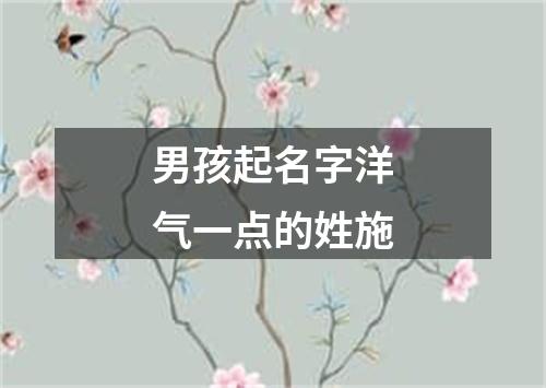 男孩起名字洋气一点的姓施