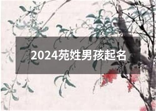 2024苑姓男孩起名