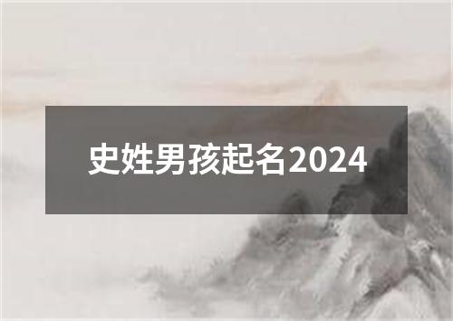 史姓男孩起名2024