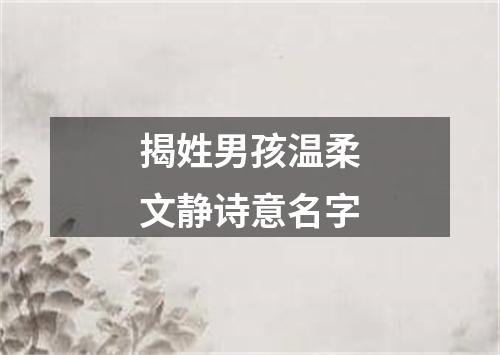 揭姓男孩温柔文静诗意名字