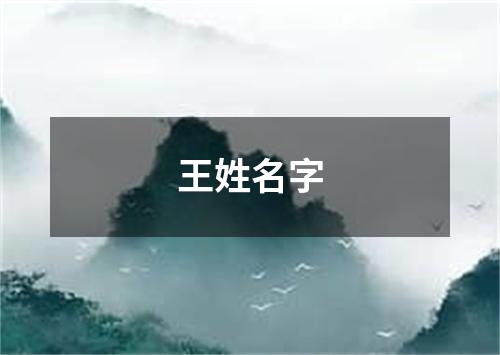 王姓名字