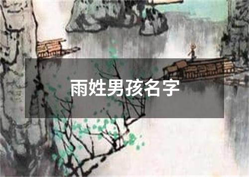 雨姓男孩名字