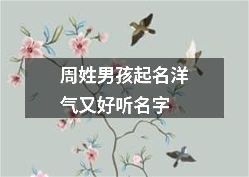 周姓男孩起名洋气又好听名字