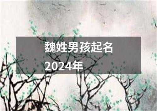 魏姓男孩起名2024年