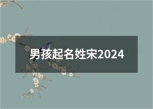 男孩起名姓宋2024