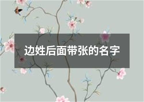 边姓后面带张的名字