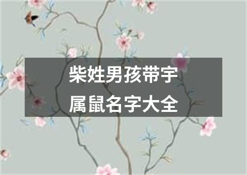 柴姓男孩带宇属鼠名字大全