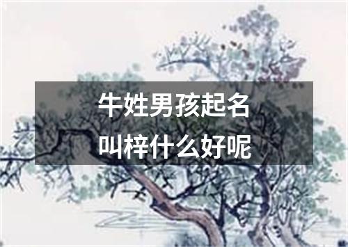 牛姓男孩起名叫梓什么好呢