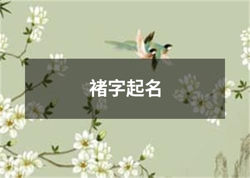 褚字起名