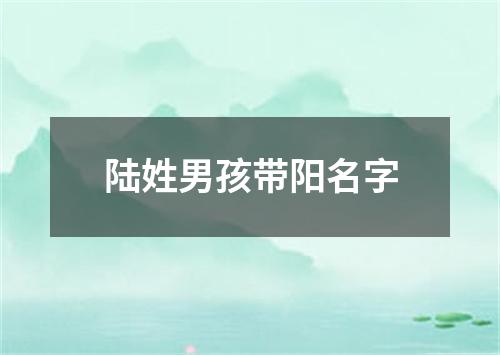 陆姓男孩带阳名字