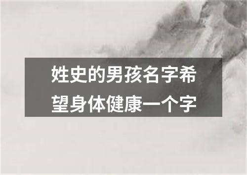 姓史的男孩名字希望身体健康一个字