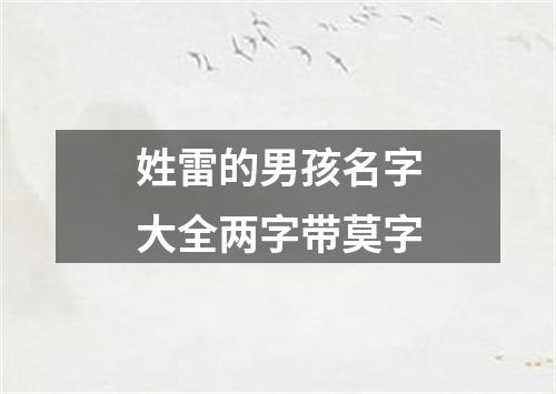 姓雷的男孩名字大全两字带莫字