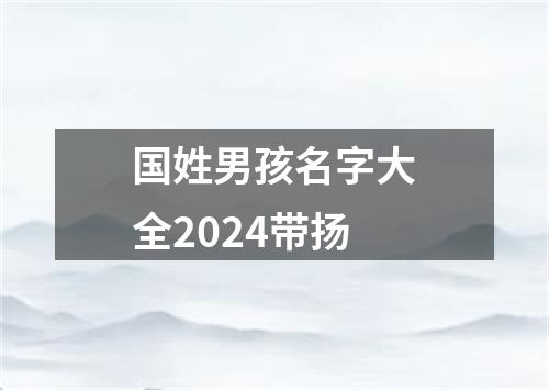 国姓男孩名字大全2024带扬