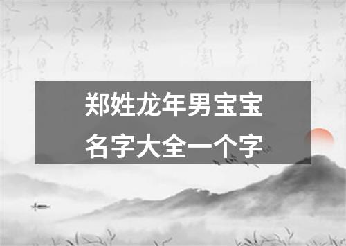 郑姓龙年男宝宝名字大全一个字