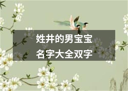 姓井的男宝宝名字大全双字