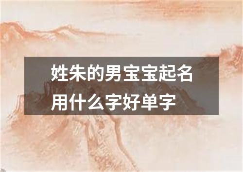 姓朱的男宝宝起名用什么字好单字