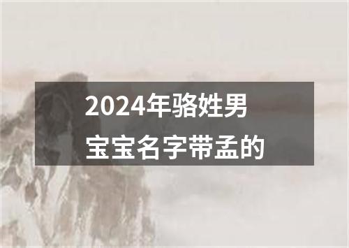 2024年骆姓男宝宝名字带孟的