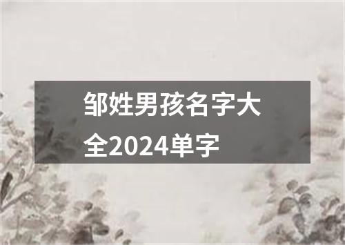 邹姓男孩名字大全2024单字