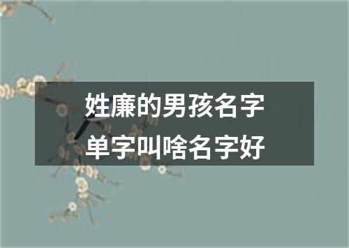 姓廉的男孩名字单字叫啥名字好