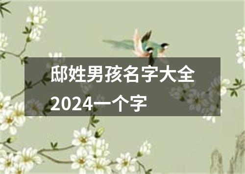 邸姓男孩名字大全2024一个字