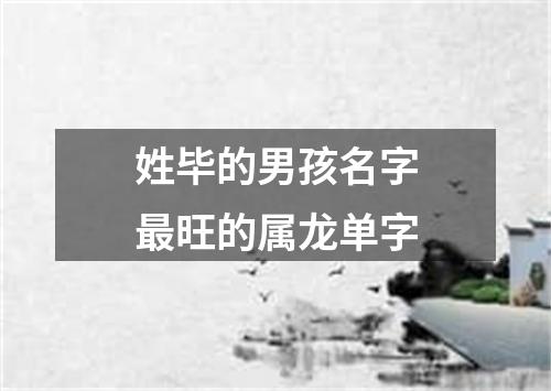 姓毕的男孩名字最旺的属龙单字