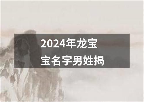 2024年龙宝宝名字男姓揭