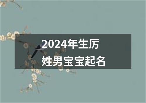 2024年生厉姓男宝宝起名