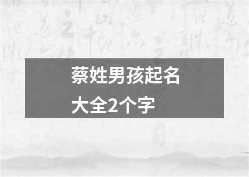 蔡姓男孩起名大全2个字