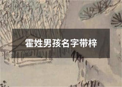 霍姓男孩名字带梓