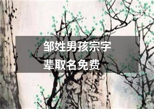 邹姓男孩宗字辈取名免费