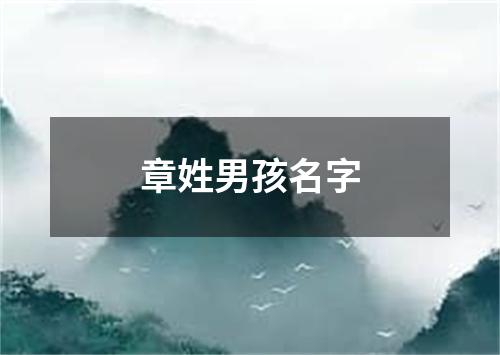 章姓男孩名字