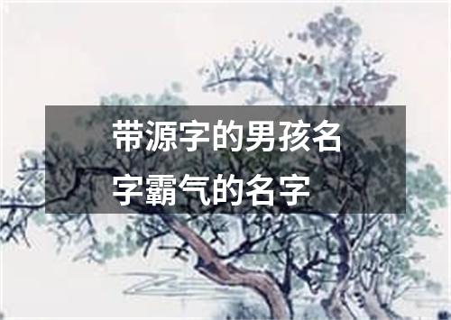 带源字的男孩名字霸气的名字