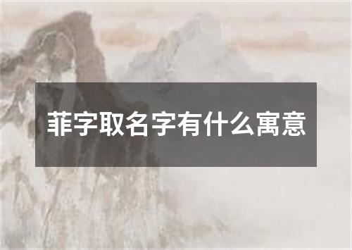 菲字取名字有什么寓意