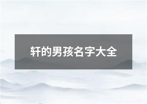 轩的男孩名字大全